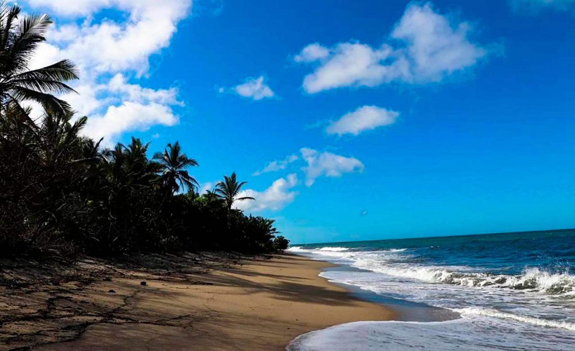 אל סאינו Hostal Mirador Dentro Del Parque Tayrona מראה חיצוני תמונה