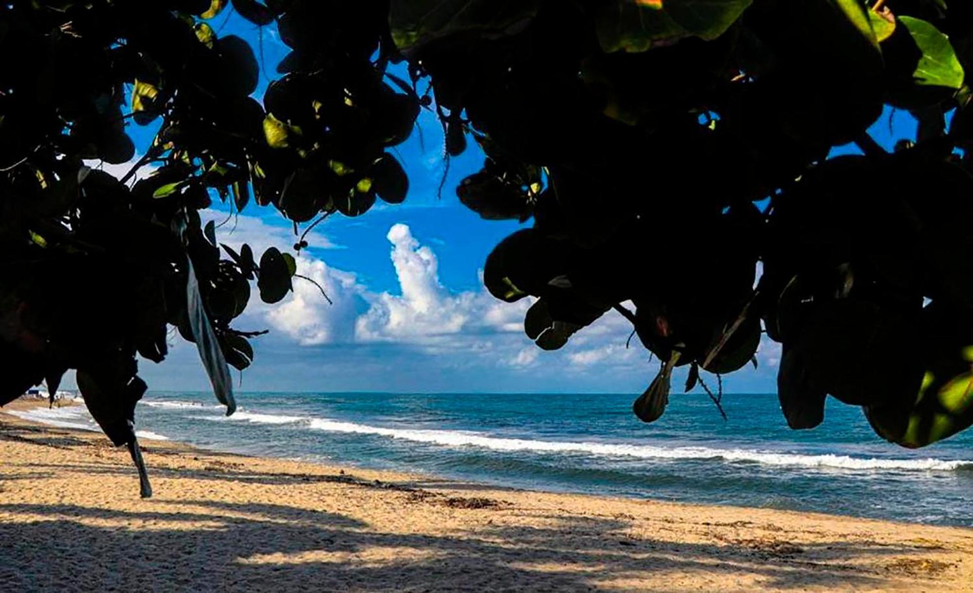אל סאינו Hostal Mirador Dentro Del Parque Tayrona מראה חיצוני תמונה