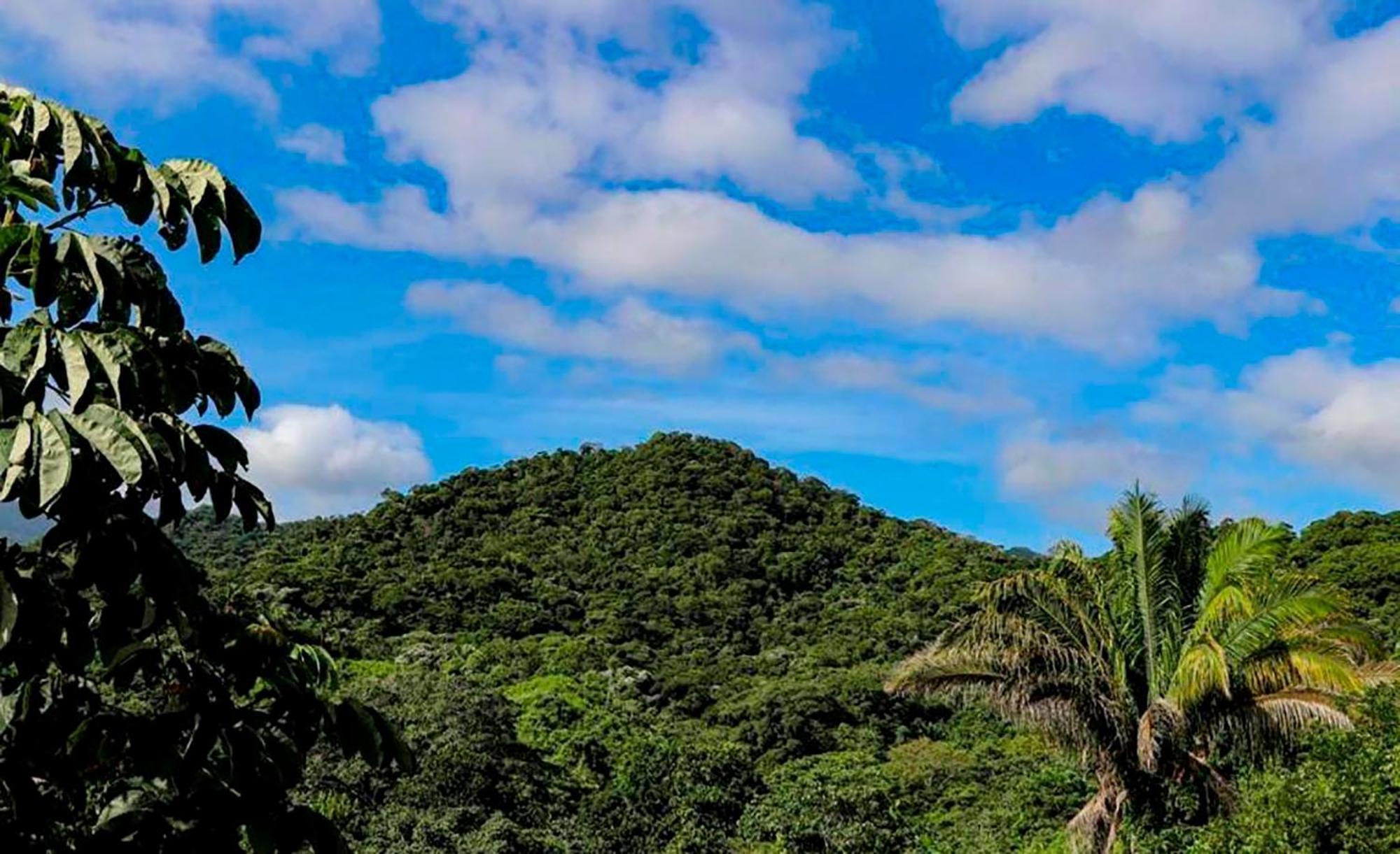 אל סאינו Hostal Mirador Dentro Del Parque Tayrona מראה חיצוני תמונה