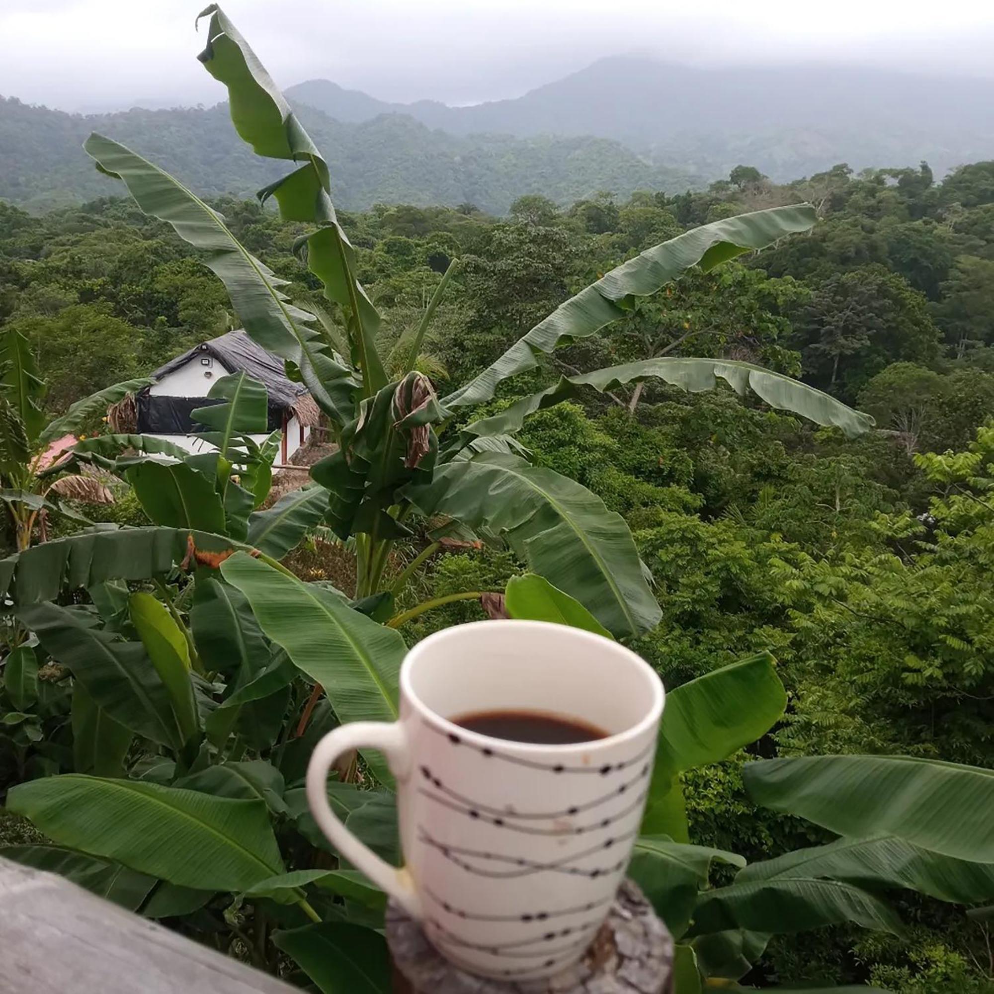 אל סאינו Hostal Mirador Dentro Del Parque Tayrona מראה חיצוני תמונה