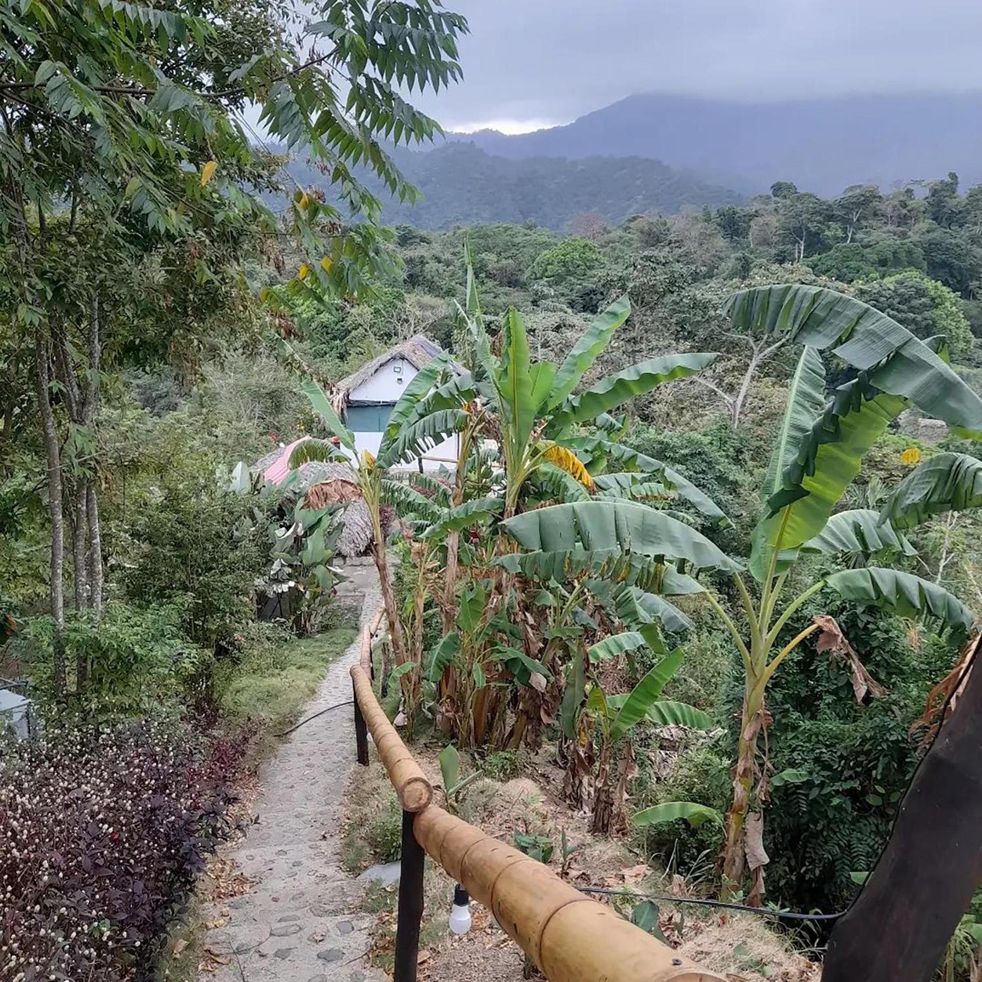 אל סאינו Hostal Mirador Dentro Del Parque Tayrona מראה חיצוני תמונה