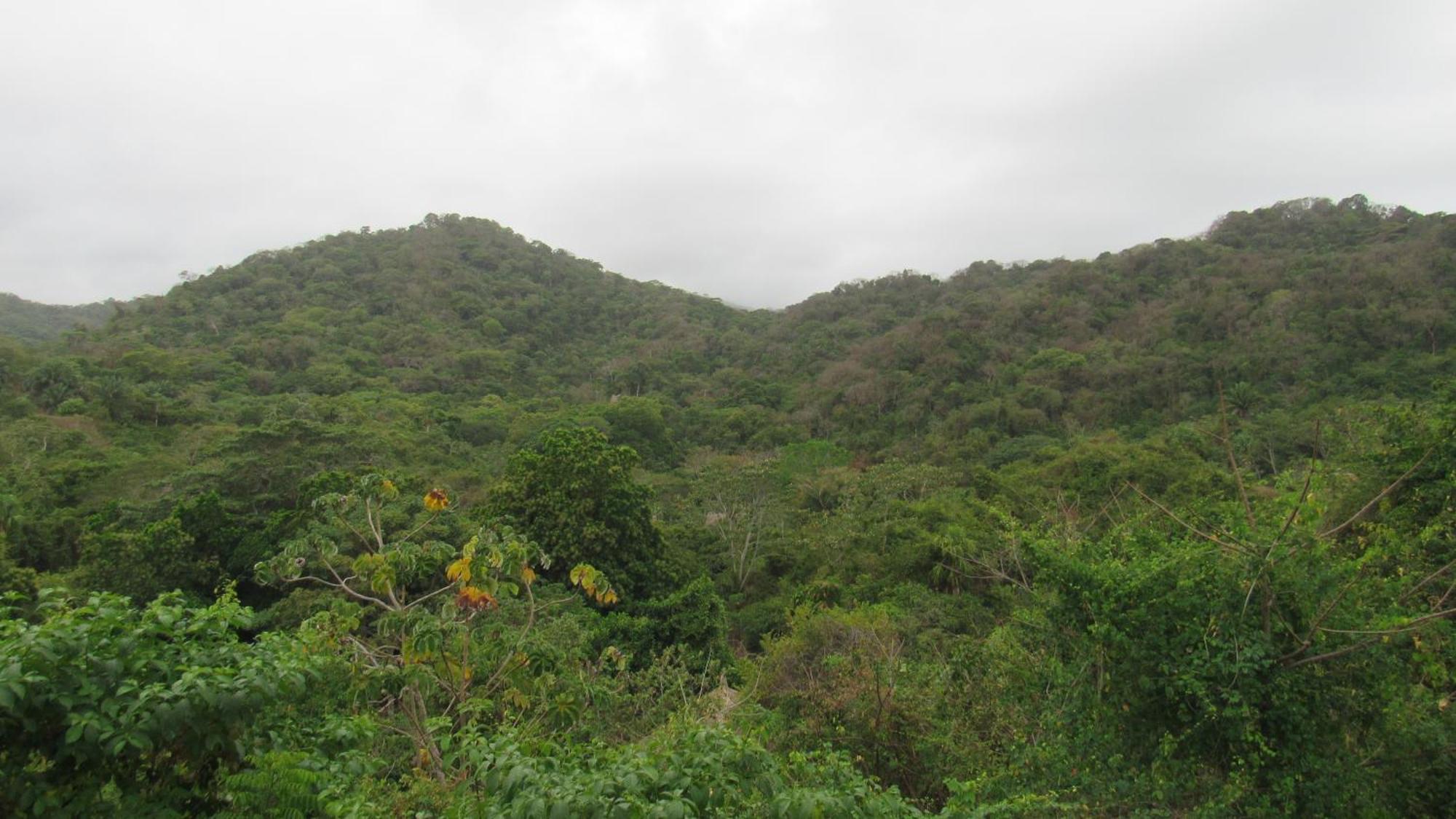אל סאינו Hostal Mirador Dentro Del Parque Tayrona מראה חיצוני תמונה
