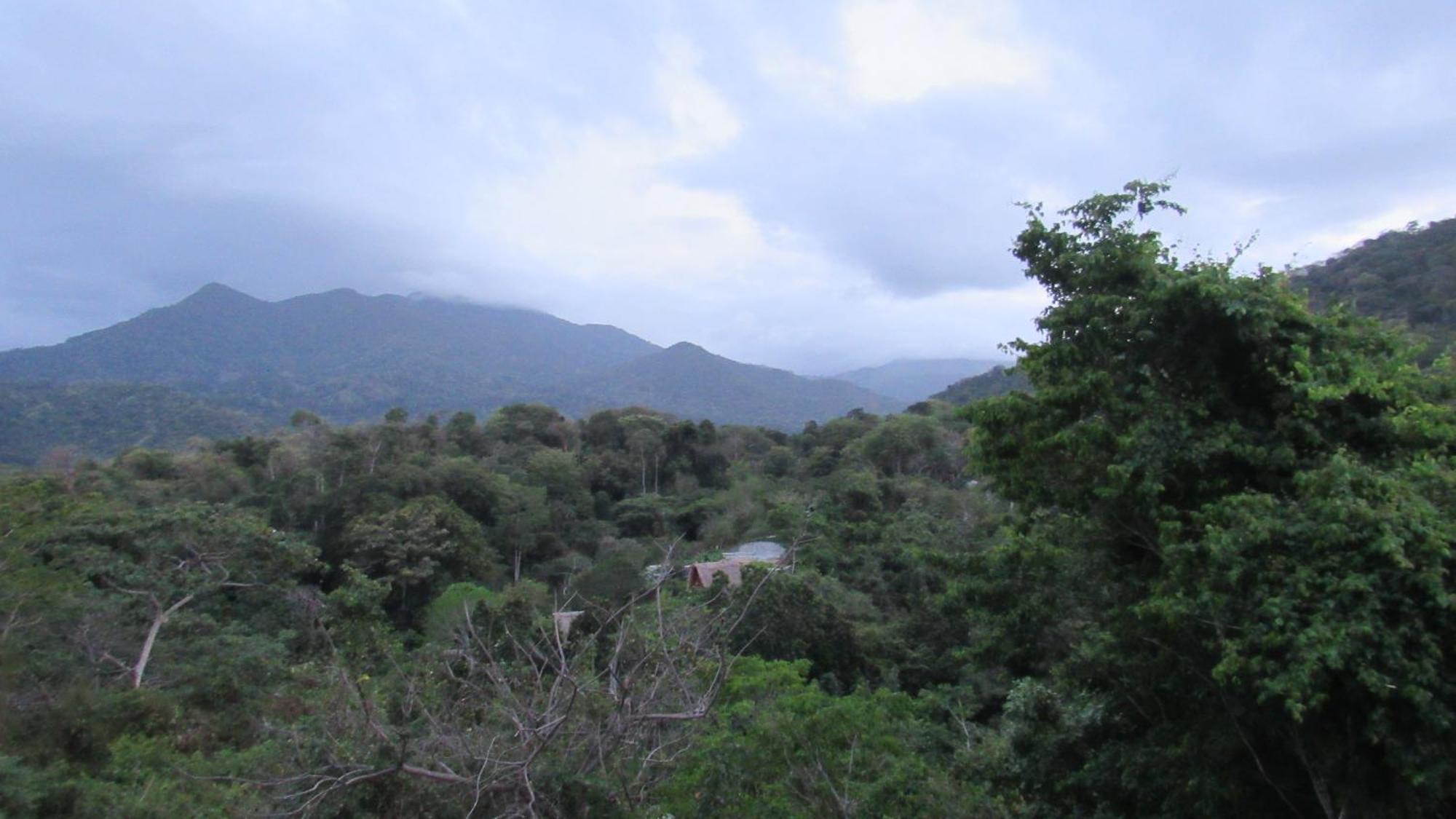 אל סאינו Hostal Mirador Dentro Del Parque Tayrona מראה חיצוני תמונה